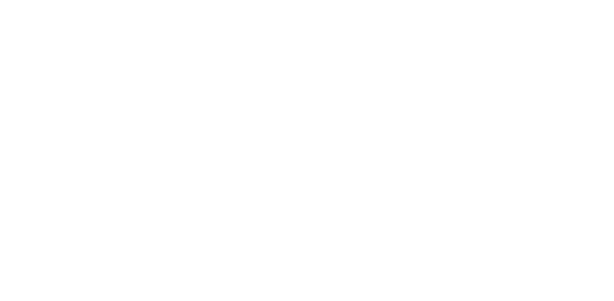 logo NAE